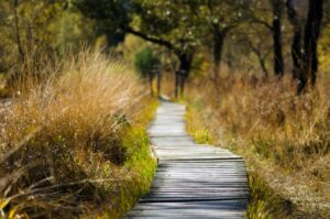 Get outside during the summer holidays